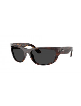 RAY BAN 